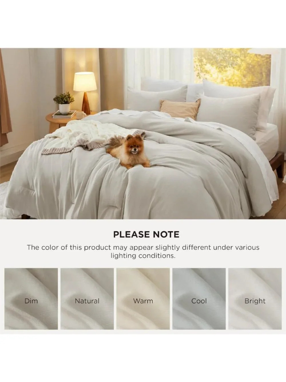 Cozy Beige Queen Comforter Set - Soft All-Season Bedding, 3 Pieces with